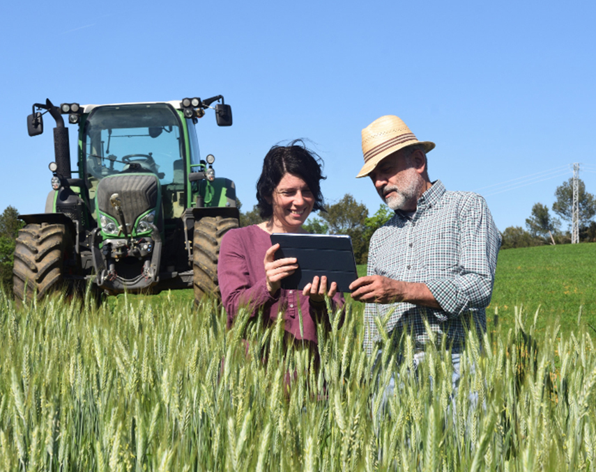 Farm insurance coverage in Florida for agricultural properties, crops, equipment, and livestock